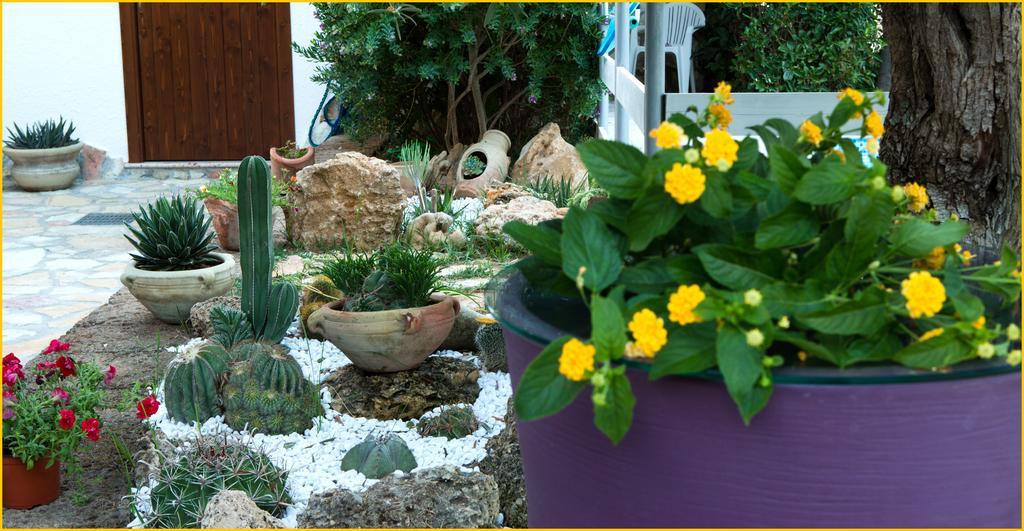 Ai Parchi Dei Parrini Bed & Breakfast Partinico Dış mekan fotoğraf