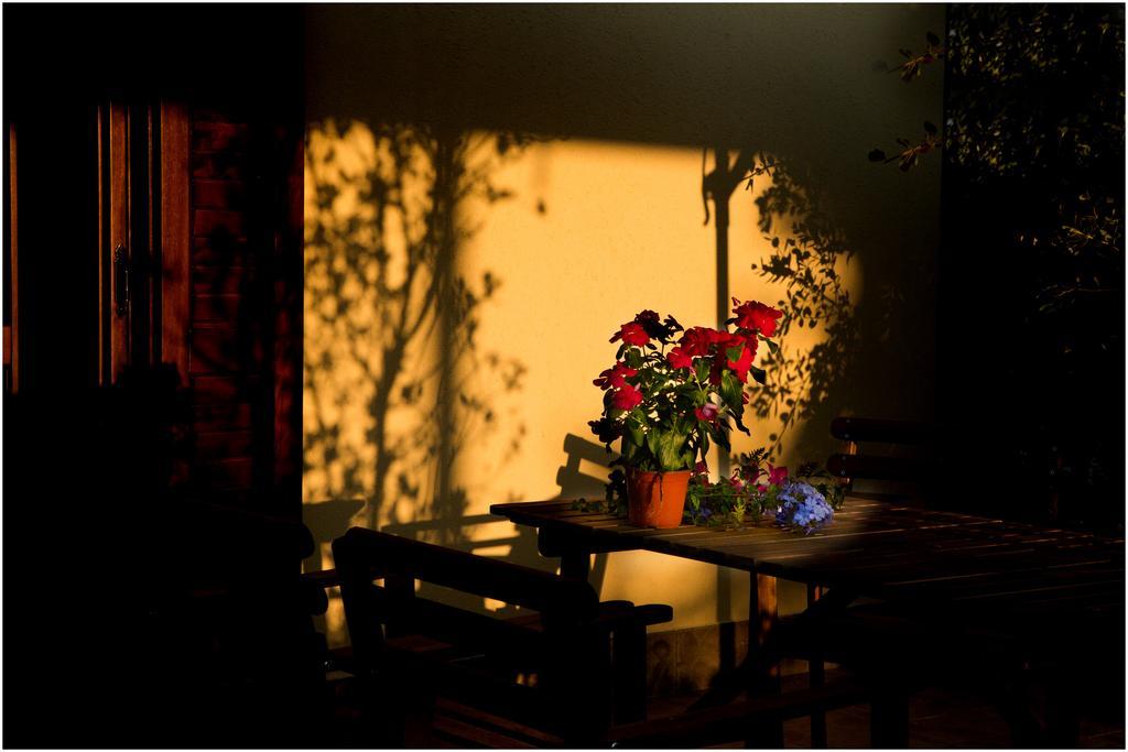 Ai Parchi Dei Parrini Bed & Breakfast Partinico Dış mekan fotoğraf