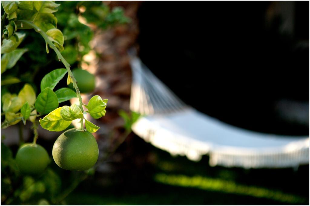 Ai Parchi Dei Parrini Bed & Breakfast Partinico Dış mekan fotoğraf